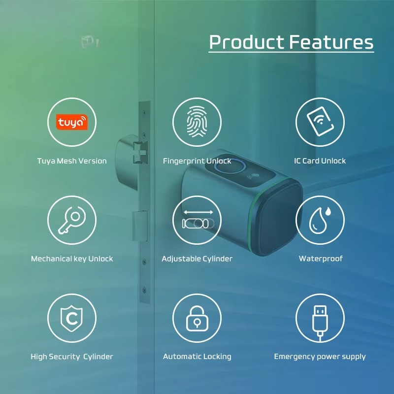 Tuya Wifi Smart Cylinder Door  - Airbnb Smart Home review and price
