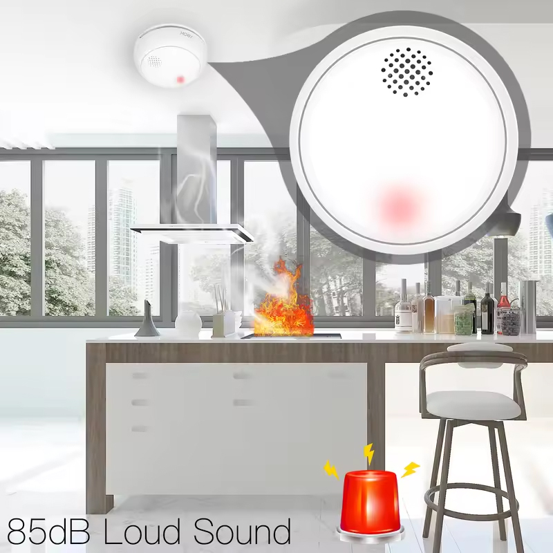 MOES ZigBee Smart Wireless Smo - Smart Home Kitchen review and price