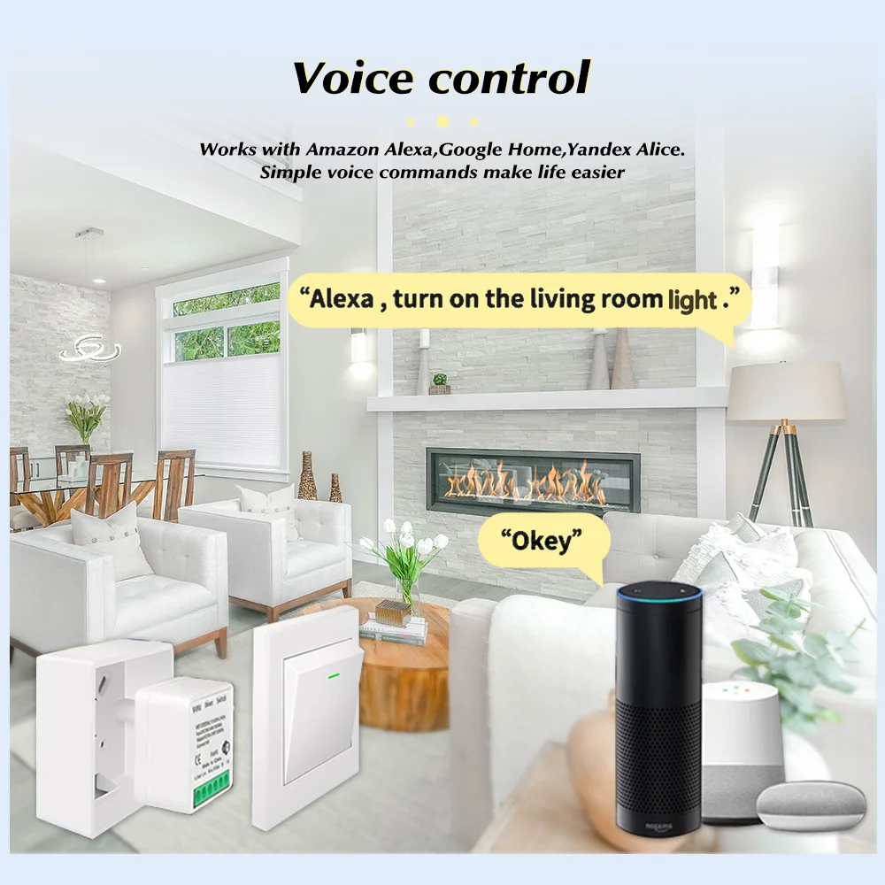 For Tuya Mini Smart WiFi Switc - Smart Home Assistant review and price