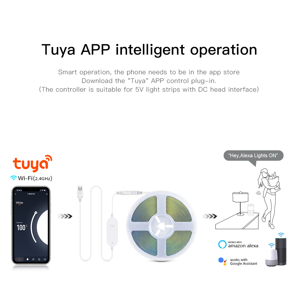 TUYA Smart USB LED Strip Light - Smart Home Llm review and price