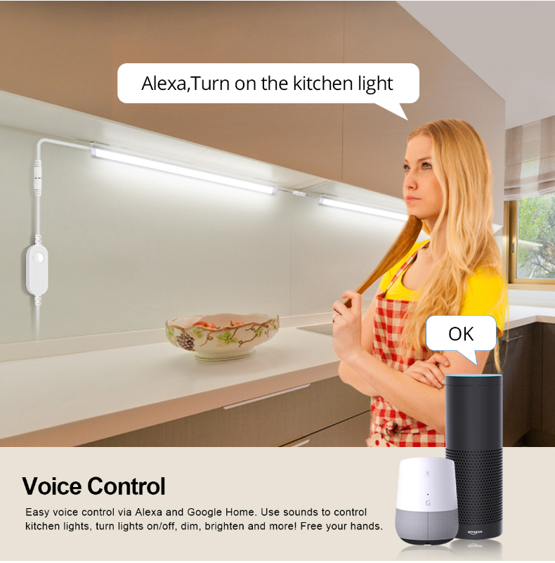 Wireless Tuya Wifi Switch 12V  - Smart Home Llm review and price