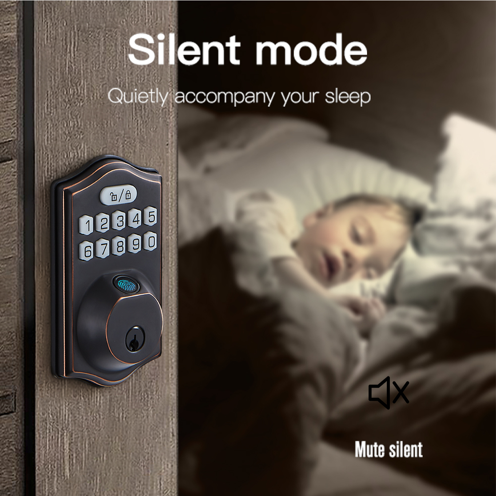 ICCSSI Smart Fingerprint Lock  - Airbnb Smart Home review and price