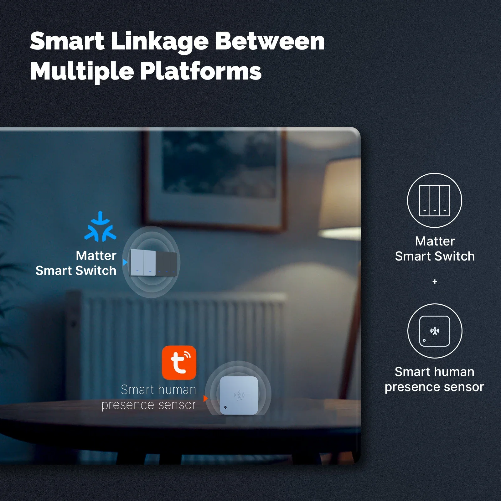 MOES Matter Tuya WiFi Smart Li - Smart Home Assistant review and price