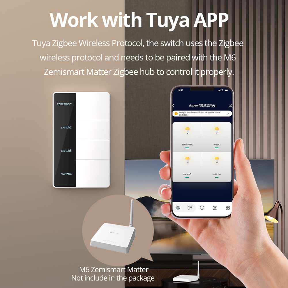 Zigbee DIY Name Switch Big Pus - Smart Home Voice Assistant review and price