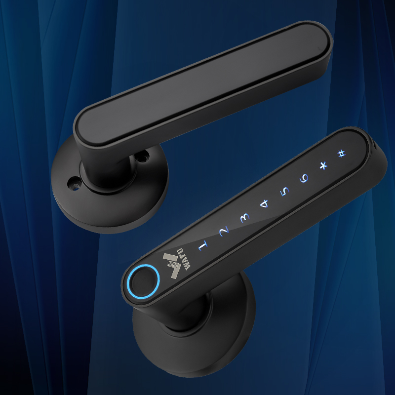 WAFU 016 Fingerprint Smart Doo - Airbnb Smart Home review and price