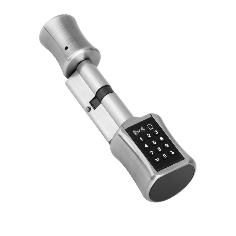 Bluetooth Cylinder Lock TT Loc - Airbnb Smart Home review and price
